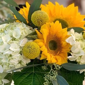 Meet your Posher, Lydia